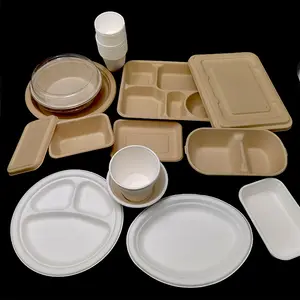 Özel 5 Compatment yiyecek kutusu çevre dostu biyobozunur tek kullanımlık Bagasse öğle yemeği ambalaj kutusu