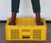 Caisse de stockage et de transport pliable en plastique robuste pour fruits et légumes