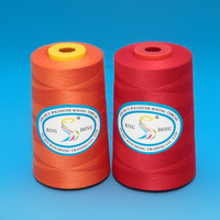 Fil à coudre en chenille teintée 100% polyester 40/2 pour broderie et tricot