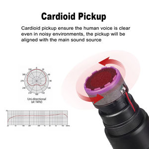 ไมโครโฟนไร้สาย VHF แบบมือถือ สองช่องสัญญาณ ไดนามิก รูปแบบการรับเสียงแบบคาร์ดิออยด์ โครงสร้างโลหะและพลาสติก สำหรับนักร้องคาราโอเกะ - Product Image 5
