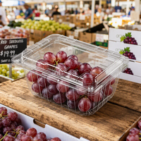 Boîtes d'emballage en PET transparent perforées pour fruits frais (tomates, cerises, raisins) – Contenants en plastique pour fruits en coquille