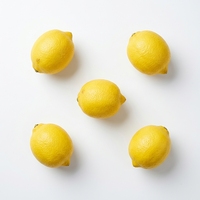 Prix de gros en vrac – Nouvelle récolte de citrons frais certifiés Global GAP – Citrons jaunes de qualité supérieure pour l'exportation