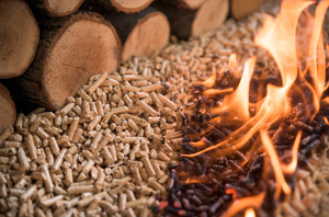 Nouvelle machine à granulés de <span class=keywords><strong>bois</strong></span> LAIZHEN 250-350 kg/heure, machine à granulés de biomasse à matrice plate, granulateur de briquettes avec moteur de 22 kW - Product Image 5
