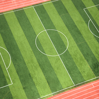 Fabrik Großhandel 30mm Kunstrasen Gras Grüner Teppich für Fußball Landschafts bau Outdoor Kunstrasen Sport boden