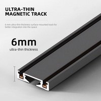 Ecolux Noir Ultra Mince 6mm SMD Plafond Smart Tuya Zigbee Track Lights Linéaire Aluminium Magnétique Led Track Rail Lighting System