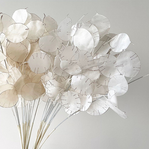 Bouquet de fleurs séchées naturelles en gros Fleurs séchées décoratives réelles Fleurs séchées <span class=keywords><strong>Lunaria</strong></span> <span class=keywords><strong>Annua</strong></span> - Product Image 4