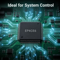 Microcontrolador EP4CE6E22C8N, Circuito Integrado FPGA, 91 E/S, Paquete 144EQFP