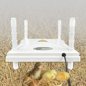 Sicurezza e Comfort piastra riscaldante per pulcini per animali domestici riscaldatore per pulcini di 20 capacità attrezzature per l'allevamento di pollame - Product Image 4