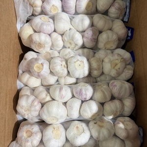 Ajo Blanco Normal de Nueva Temporada 4.5cm Bawang Ajo Fresco de la Mejor Calidad de Granja - Product Image 5