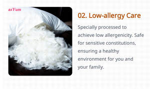 Easyum 1 Cuscino 100% Cotone 95% <span class=keywords><strong>Piuma</strong></span> d'Oca Bianca 5% <span class=keywords><strong>Piuma</strong></span> d'Oca Non Tossico Quadrato Rigido <span class=keywords><strong>per</strong></span> Supporto Collo e Schiena - Product Image 3