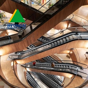 Escalera Mecánica HYUNDAI para Aeropuertos de Bajo Costo con Rendimiento Superior y Funciones Estables - Product Image 6