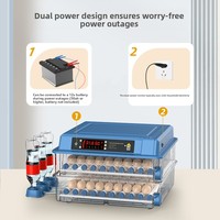 Incubateur d'œufs numérique automatique mini en gros pour poulets, canards, oies, cailles, pigeons – Idéal pour la ferme et la maison