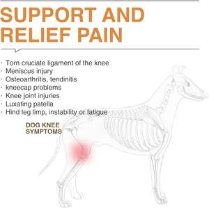 फटे एसीएल पैर के लिए घुटने के घुटने का ब्रेस बैक पैर गर्म संयुक्त के लिए घुटने के ब्रेस - Product Image 4