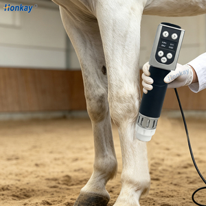 High Quality 8 Inch Screen Control Shockwave Therapy Device Muscle Relaxation Shockwave <b>Massage</b> Therapy Machine for Horse - Product Image 1