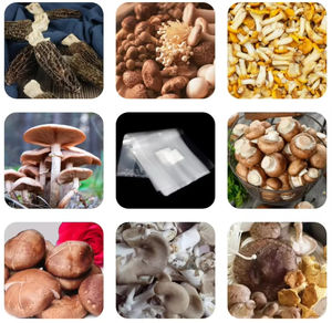 Sacos de Cultivo de Plástico Personalizados para Cogumelos com Filtração de 0,2 e 0,5 Microns - Product Image 6