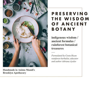 Özelleştirilmiş ashashandha tozu yaygın olarak bilinen hint <span class=keywords><strong>Ginseng</strong></span> kökü toz sakinleştirici bitkisel takviyesi ekleyin çay kahve ve daha - Product Image 3