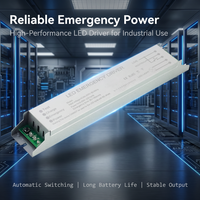 Kit de conversion d'urgence à courant constant certifié CE RoHS de qualité supérieure pour tube LED, avec driver haute efficacité
