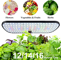 Kit de culture hydroponique intelligent pour petit jardin intérieur, système hydroponique pour la culture de légumes, pot de culture hydroponique pour cuisine