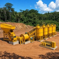 Usine de traitement de l'or par lixiviation au carbone à capacité personnalisée, équipement complet de récupération d'or, en vente – Meilleures ventes