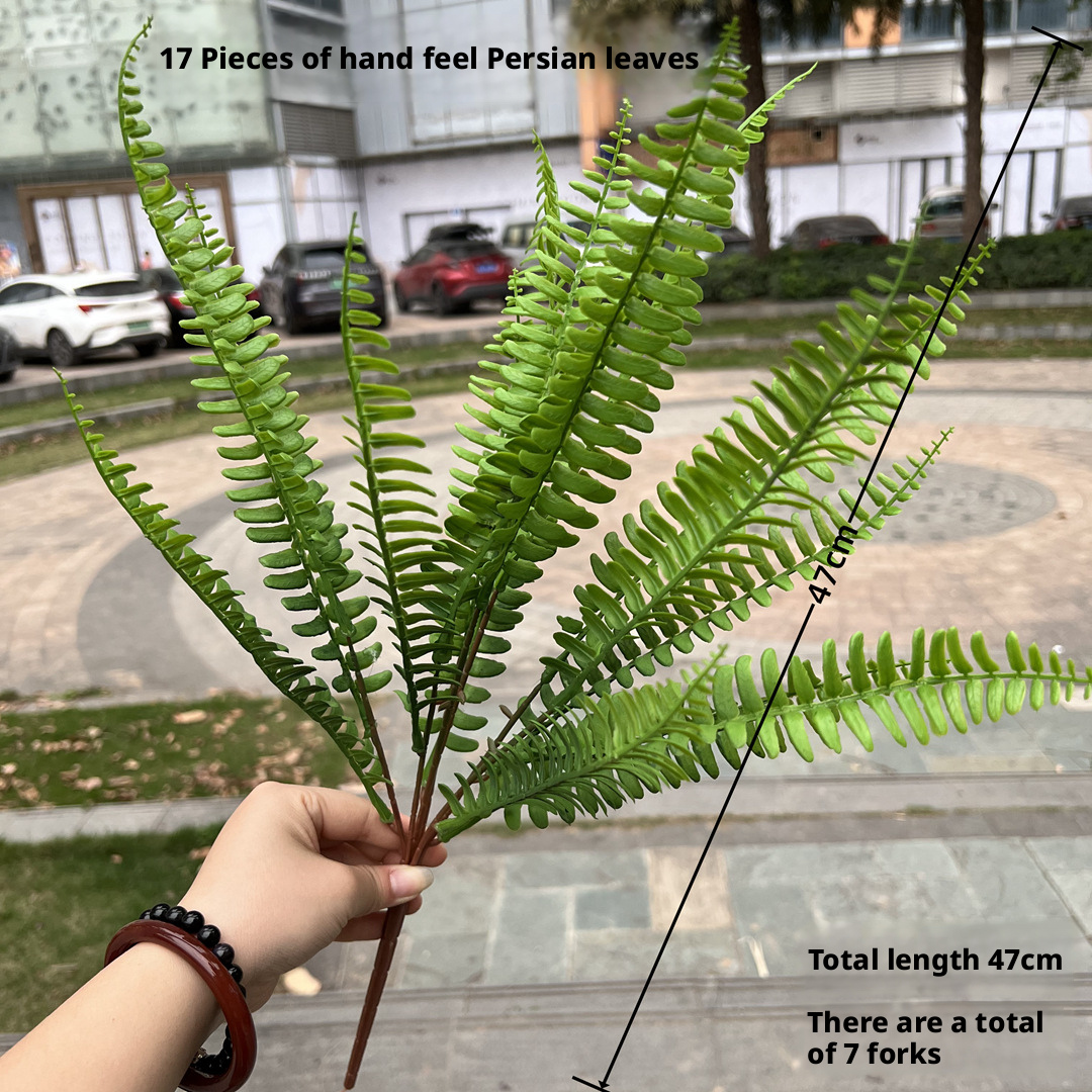 12# 7 pièces, motif feuilles persanes
