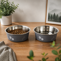 Gamelle double couche en acier inoxydable pour chien et chat, antidérapante, anti-chute, anti-renversement, motif empreinte de patte, pour l'alimentation transfrontalière