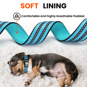 Collar de Nailon de Lujo para Perros, con Hebilla Ajustable, Reflectante, Diseño de Moda, Software Personalizado Smart ID, Fabricante - Product Image 4