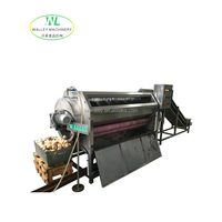 Hotsale Commerciële Fruit- en Groente Wortelstock Schilmachine Continue Schuurrol Hoge Kwaliteit SUS304 RVS 380V