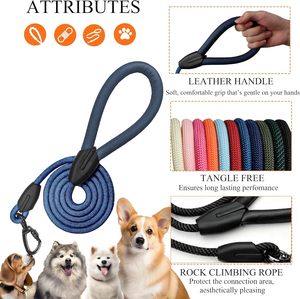 Laisse pour chien de luxe en sangle de nylon robuste personnalisée, laisse de service pour animaux de compagnie en polyester, corde de créateur colorée pour chien - Product Image 3