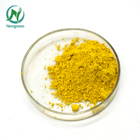 Poudre de melon ou poudre de fruit de melon de haute qualité fournie par l'usine Newgreen