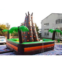 Mur d'escalade gonflable géant pour enfants avec souffleur, garantie 3 ans