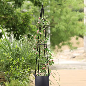 Enrejado de jardín Obelisk de torre alta para plantas trepadoras, planta de flor de vid, enrejado Ted <span class=keywords><strong>Baker</strong></span> <span class=keywords><strong>Chelsea</strong></span> con bolsa de cultivo - Product Image 2