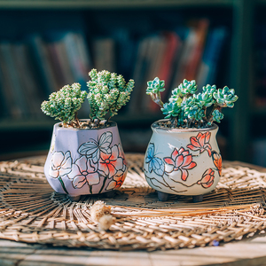 Maceta de cerámica para interiores pintada <span class=keywords><strong>a</strong></span> <span class=keywords><strong>mano</strong></span>, Mini maceta coreana carnosa y suculenta bonita, jarrón de porcelana para jardinerí<span class=keywords><strong>a</strong></span> de mesa - Product Image 3