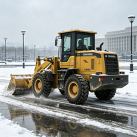 Caricatore Frontale 4x4 ad Alta Efficienza 170HP con Motore Weichai e Sistema Idraulico Kawasaki per Edilizia, Movimento Terra e Miniera