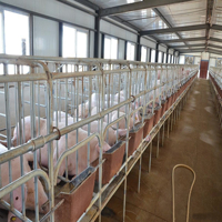 Bâtiment agricole léger en structure préfabriquée en acier pour élevage de porcs, avec personnalisation par soudure