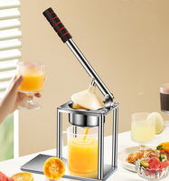Premium zilverkleurig roestvrij staal 304 aluminium en ABS metaal fruit- en groentesapcentrifuge & -pers & -reamer 1 stuk 25x13x29cm