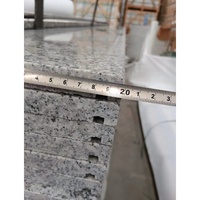 Bande de roulement d'escaliers G603 en granit gris blanc naturel de Chine