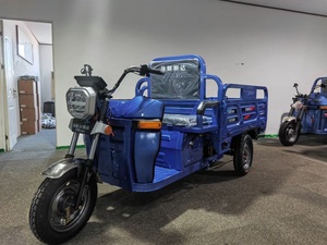 <span class=keywords><strong>Triciclos</strong></span> Eléctricos Para Adulto, Trimoto Eléctrica De Tres Ruedas Para La Familia 32A ISO 60V, Motocicletas De <span class=keywords><strong>125cc</strong></span>, Triciclo De Carga 3 En 1 Abierto - Product Image 6