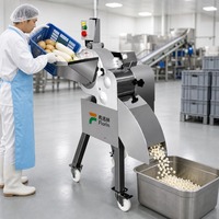 Hoge snelheid snijmachine voor groenten, fruit en vlees; geschikt voor het snijden van aardappel, wortel, mango, bevroren rundvlees en varkensvlees in blokjes.