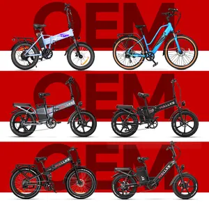Wallke OEM MOQ 50 PCS enviando da CHINA 250w 500w 750w 1200w motor 1750w 3000w pneu gordo ebike bicicleta elétrica
