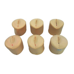 Mô hình đào tạo y tế sử dụng mô hình chăm sóc cổ tử cung và đường sinh cho mục đích giảng dạy phụ khoa và sản khoa - Product Image 3