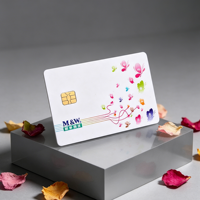 Tarjeta de PVC imprimible con chip IC de contacto SLE4442/4428, tarjeta RFID en blanco con banda magnética, tarjeta inteligente para pagos comerciales, ¡Gran Venta!