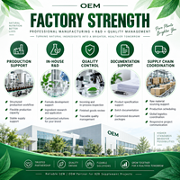 Gouttes de chlorophylle liquide Clean Label à base de plantes, sans sucre, saveur menthe, soutien quotidien au bien-être pour adultes, OEM, marque privée, en vrac