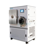 Pilot Type Automatische Vacuüm Vriesdroger Voor Fruit, Groente, Kruid