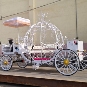 Carruaje Real Eléctrico de Alta Calidad, Carruaje de Cenicienta Tirado por Caballos para Bodas, Fiestas y Eventos, en Venta - Product Image 1