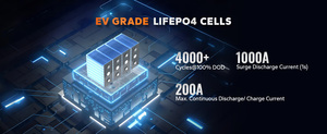 OEM Lifepo4 12v <b>24v</b> 36v 48v <b>Battery</b> 100ah 200ah 300Ah Auto Rechargeable Lithium Ion <b>Batteries</b> - Product Image 4