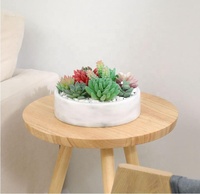 Pot de fleurs d'intérieur en marbre blanc de 8 pouces Jardinière de fleurs de cactus avec drainage Base de plateau en bambou amovible Pot de fleurs en marbre