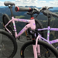 Nouvelle Meilleure Vente Vélo VTT 24 Pouces pour Enfants et Adultes, Monovitesse ou 21 Vitesses, Double Choix pour Garçons et Filles