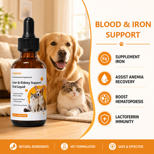 Waylemo Liver and Kidney Support Liquid for Senior Dogs <strong>Cats</strong> Hepatic <strong>Renal</strong> Health Blood Function 60ml Dropper Bottle - Product Image 2