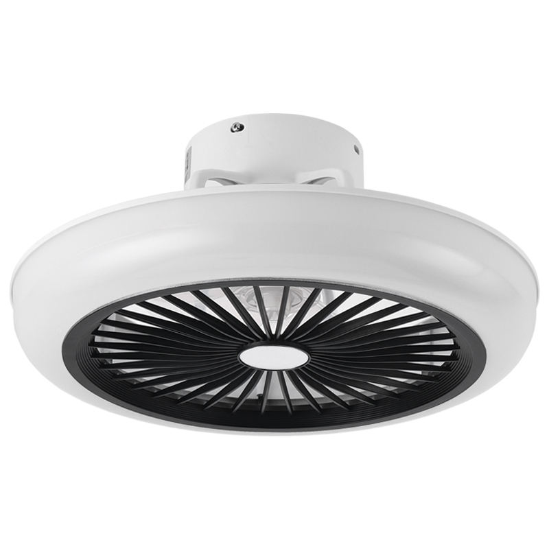 Noir-Pas de guide du vent