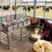 Presse à fromage domestique, presse à beurre, machine à mouler, machine à presser le fromage, machine à presser le fromage